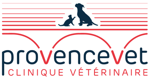 ProvenceVet, clinique vétérinaire de référé à Avignon