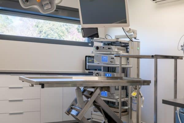 Bloc opératoire de la clinique vétérinaire ProvenceVet