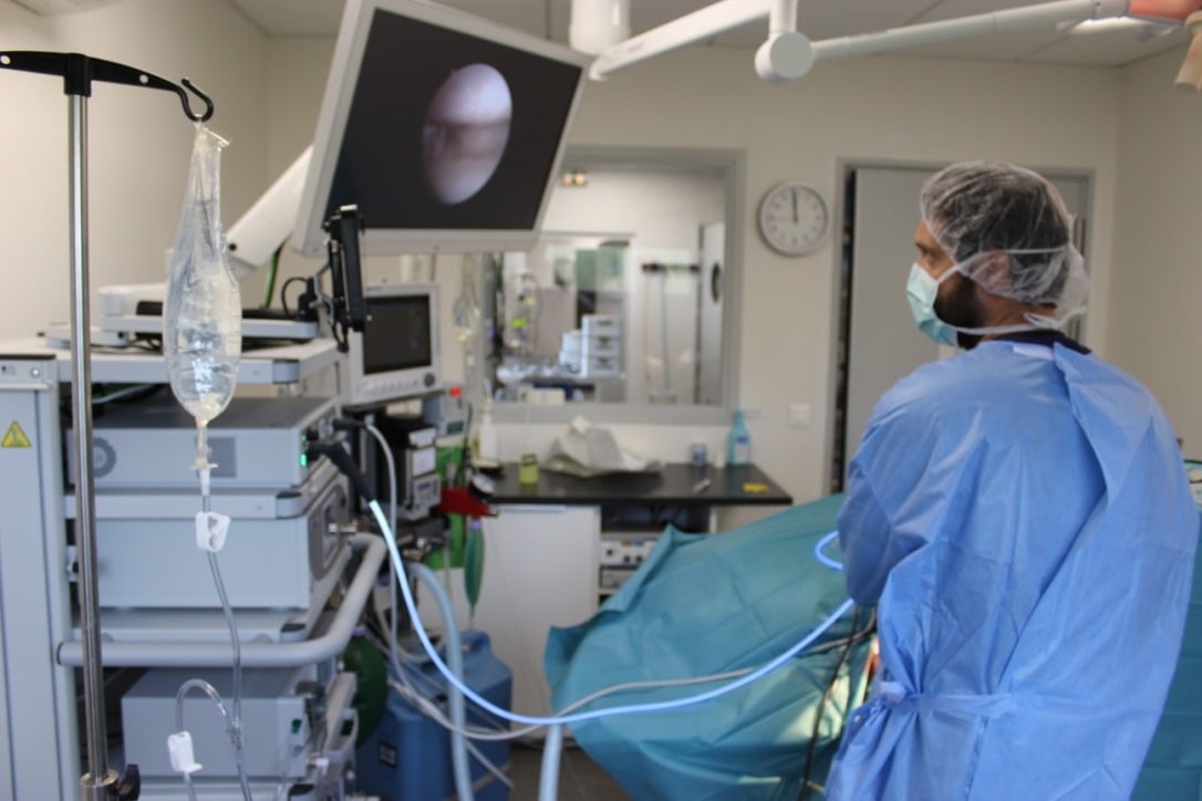 Chirurgie de référé à la clinique vétérinaire ProvenceVet à Avignon